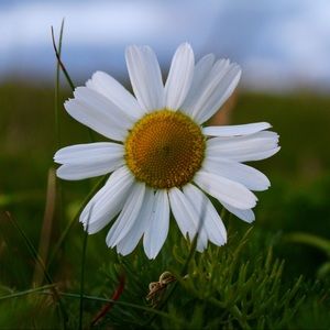 Meet your Posher, Kiera